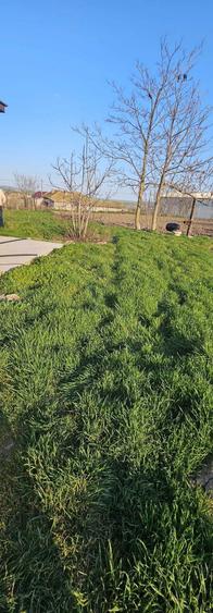 Casa RECENT RENOVATA cu Teren Generos 2000 mp LASTUNI / TULCEA - 1