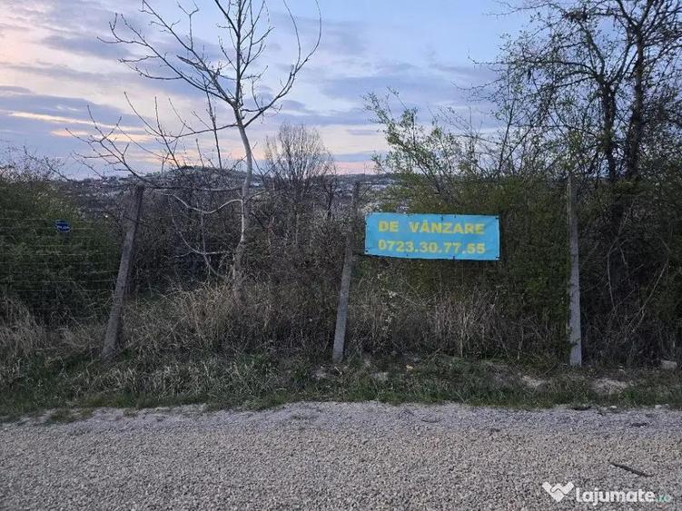 Ter Zona Coline-Raspantii, 1000 mp , utilitati, intre case, gaz - 8