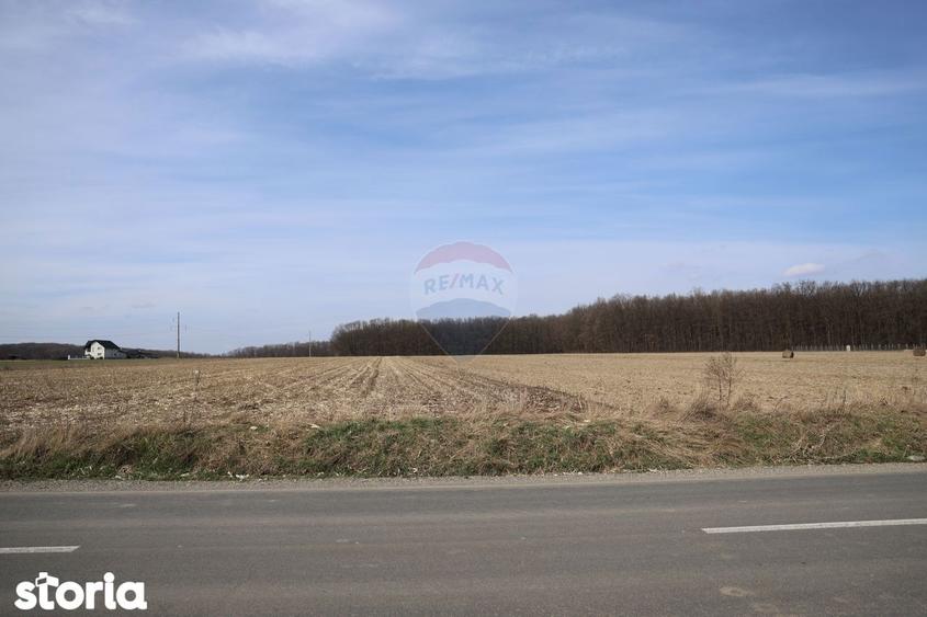 Teren 9,740mp Suceava / Strada Principala - 5