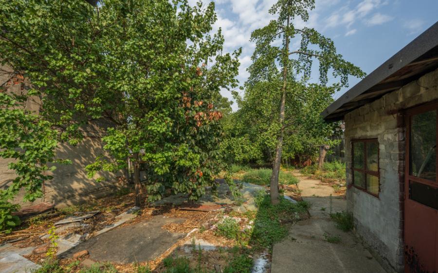 CHIAJNA - CASA RENOVABILA 129 MP, LOT 690 MP! - 12