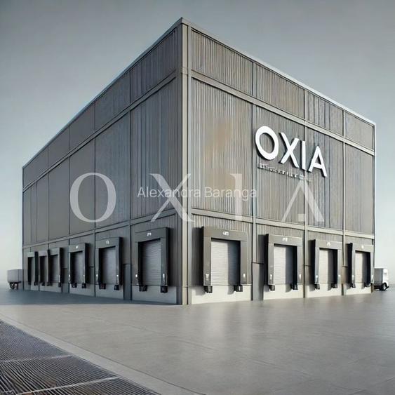 AX1132 Calea Sagului, Platforma Industriala, 7.387 MP AX1132 Calea Sagului, Platforma Industriala, 7.387 MP