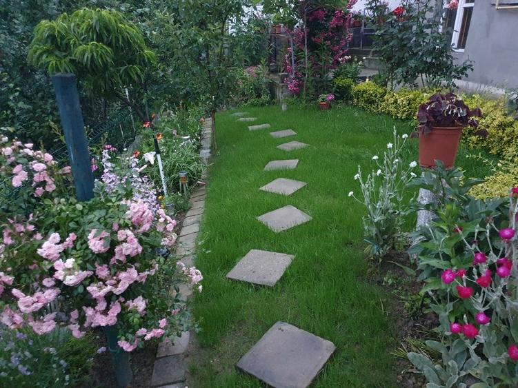 Casa cu gradina #pret negociabil # singur in curte - 16