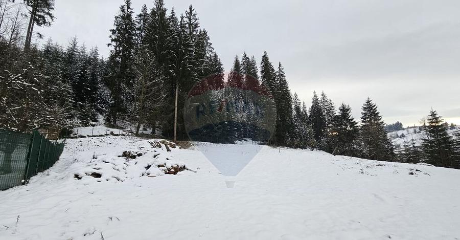 Teren in Bucovina, intravilan 3824 mp Deia-Frumosu, Suceava - 9