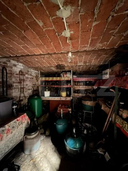 Casa parter, 273 mp teren, front 14,52 ml, zona Schmith/ Tribunal - 11