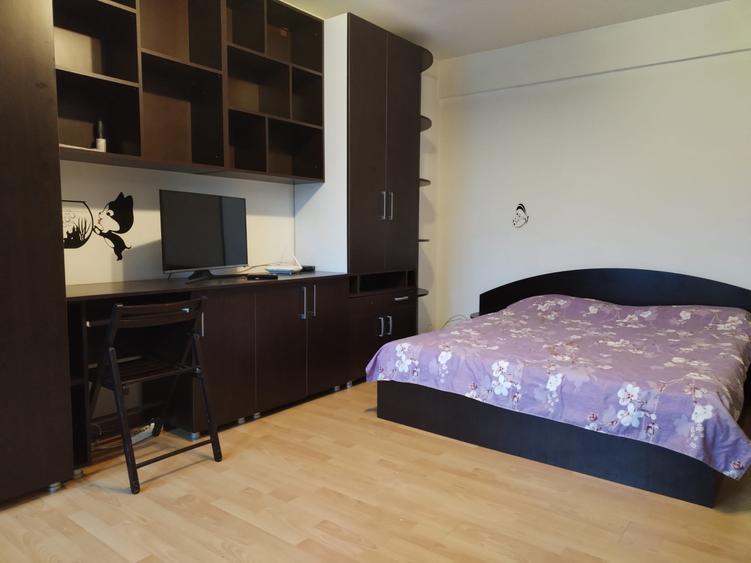 Garsoniera decomandata Craiovita - Aristizza Romanescu - 3