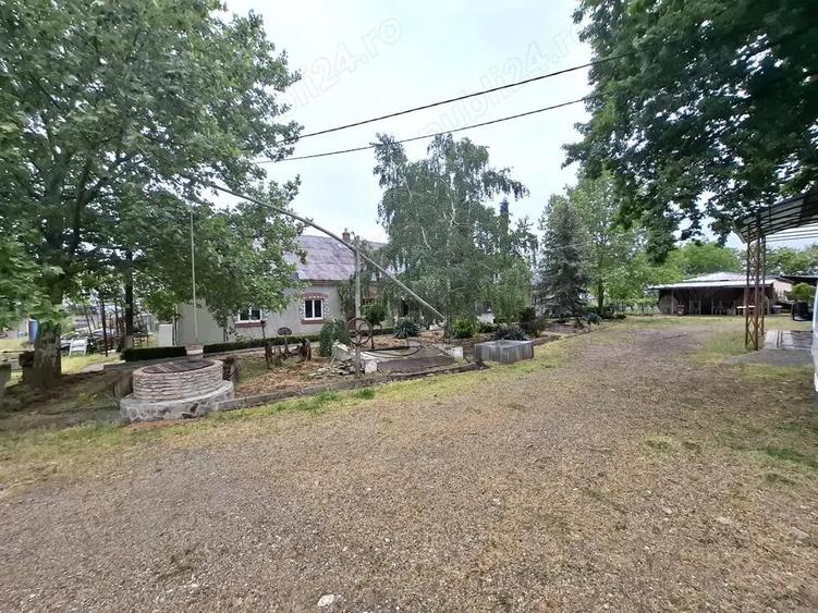 Crama de vanzare Odobesti -Vartescoiu - 4