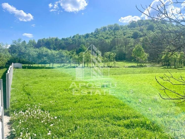 Teren intravilan, partial imprejmuit, eligibil grant- Pojoga, com. Zam