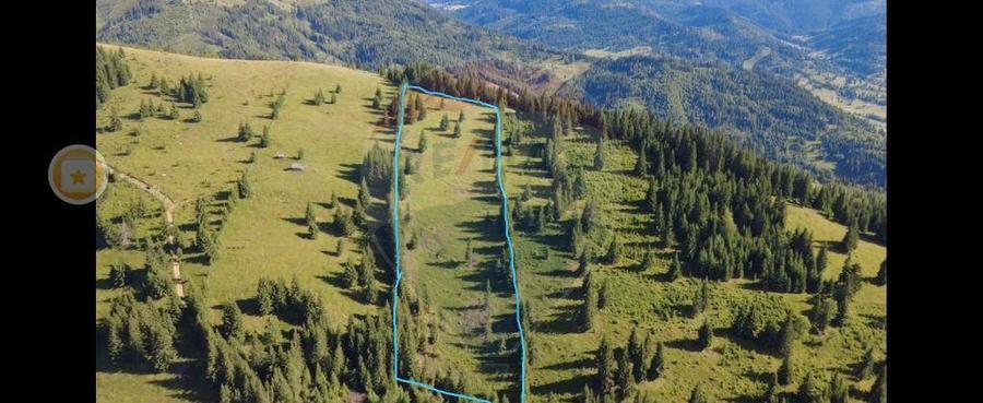 Teren 24,581mp Panaci / Strada Mihaile? - 10