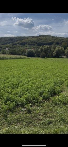 Teren intravilan 2.000 mp front 36ml Popesti Vale - 2