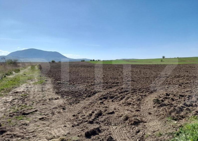 TEREN Extravilan 15000 MP in Zona Codlea - 3