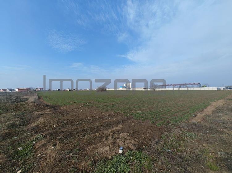 Dragomiresti Valea - Langa Centura, teren 31.200 mp, 35E/mp - 8