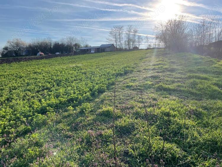 Proprietate de 2595 m2 la 20 km de Alba Iulia - 6