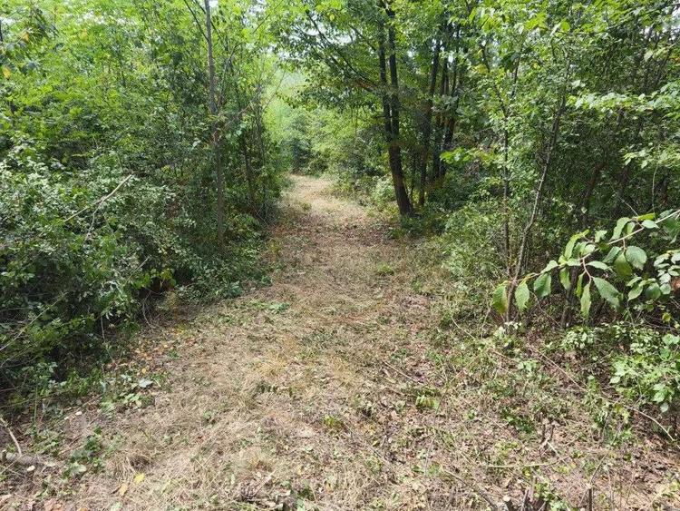 Teren intravilan Mosoaia - Hintesti - 2