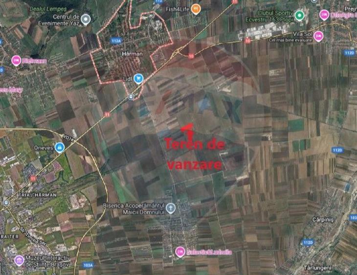 Teren Harman 29200mp pretabil dezvoltare industriala - 4