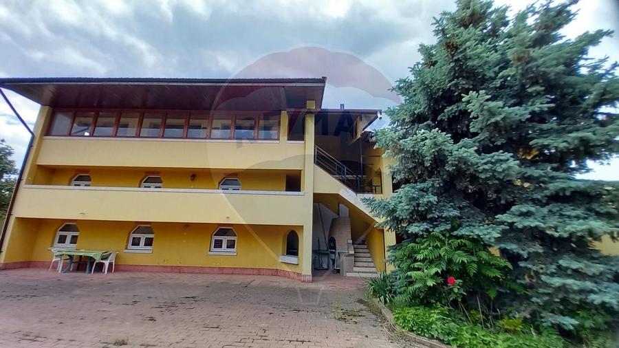 Casa / Vila cu 21 camere de vanzare in zona Alexandriei - 15