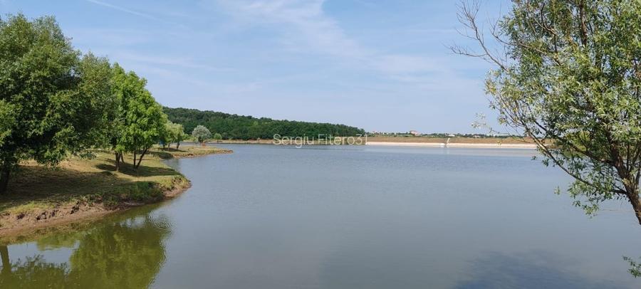 Teren intravilan de vanzare - 902 mp, Paleu, Bihor | PUZ aprobat