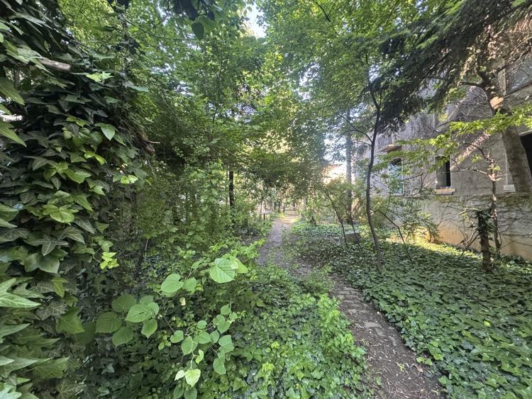 Proprietate unica la Grădina Icoanei - 15