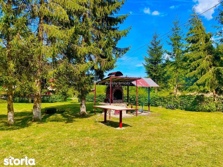 Casa de vacanta de vanzare Valea Avrigului - 3
