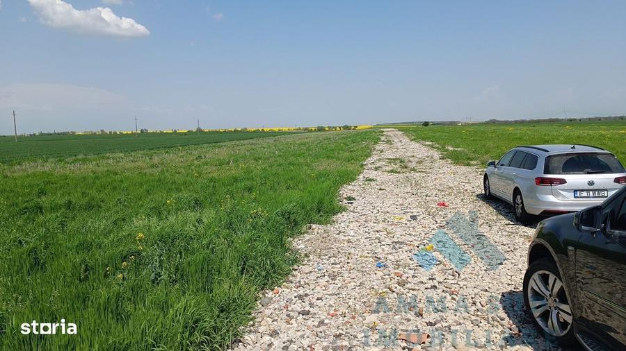 Terenuri Intravilane Industriale - 1.000 mp - Sos. Oltenitei DN 4 / A0 - 6