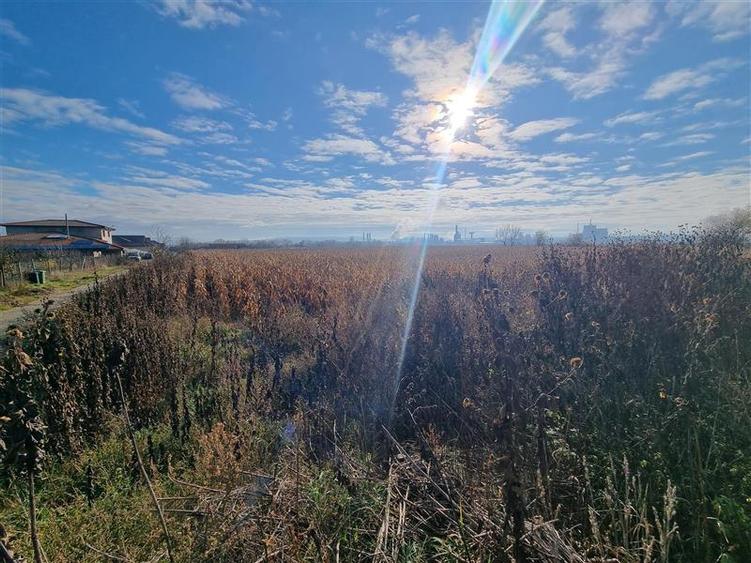 De vanzare parcele de 5 arii, utilitatile la poartă strada graului, Nazna - 3