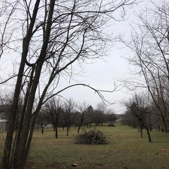 Teren intravilan Breaza oportunitate investitie - 1