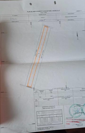 Teren de vanzare in comuna Dascalu - 1