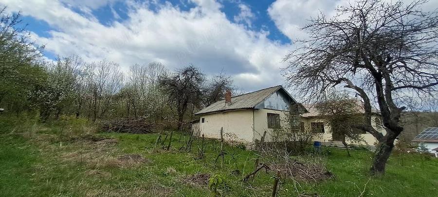 Proprietar, vand 2 case pe un picior de Plai, cu priveliste superba, in Provita de Sus, Prahova - 7