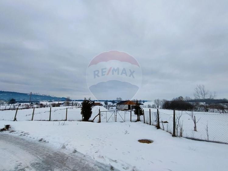 Teren intravilan 9.574 mp în Săliște, poziție strategică, ideal invest - 4