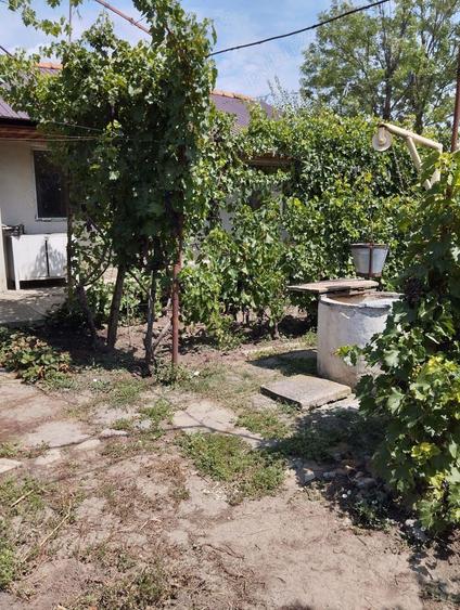 Casa de vanzare 1120mp,Glodeanu Sarat Buzau - 4