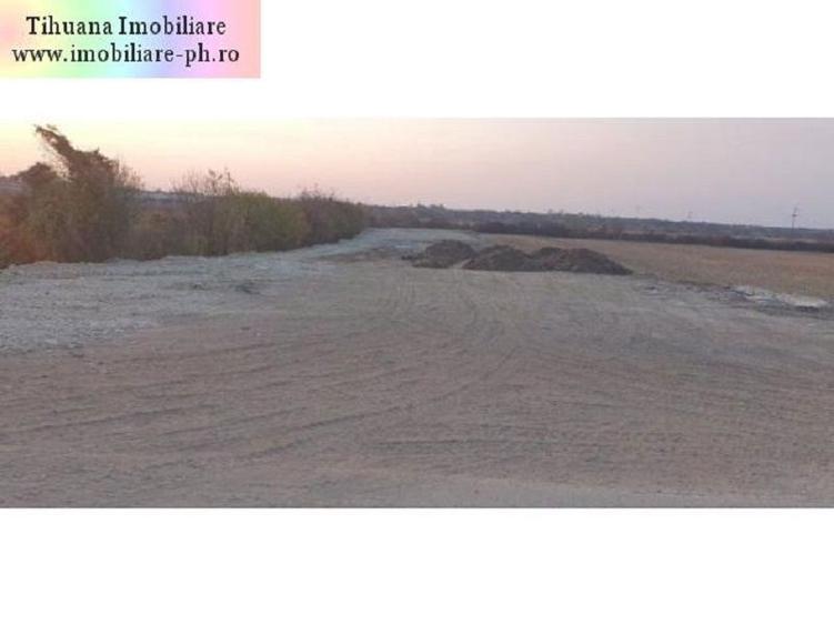 Teren de vanzare - Bucov - 1