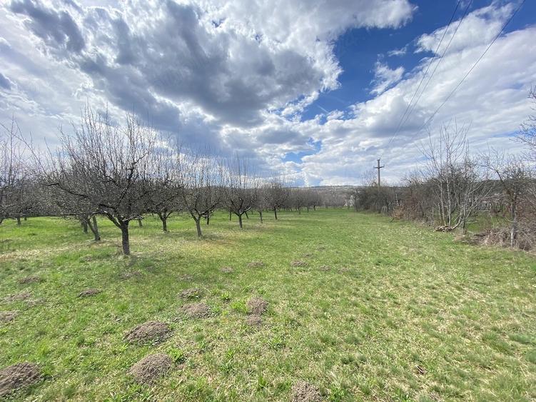 Teren de 7000 mp, în Berevoești