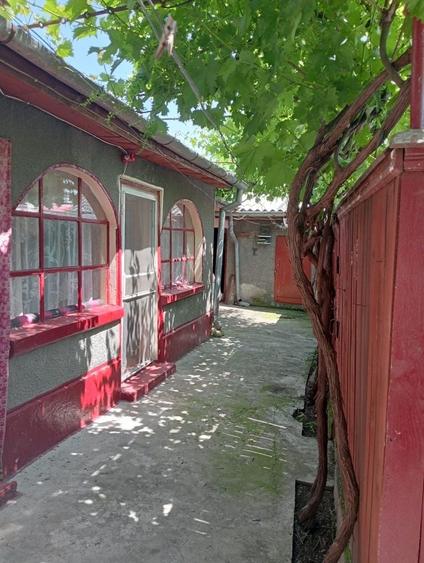 Casă cu 4 camere în Radu Negru
