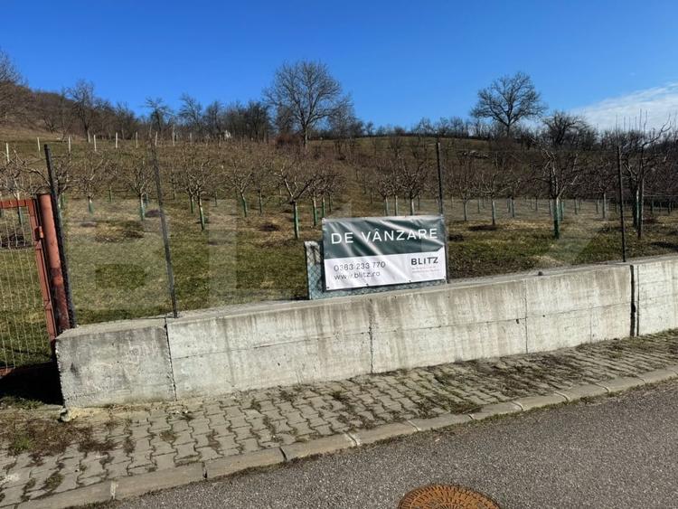 Teren Construcții intravilan de 3001 mp, în Nord-Vest
