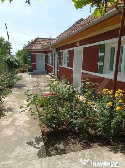 Casă cu 4 camere cu Teren 5450 Mp în Central