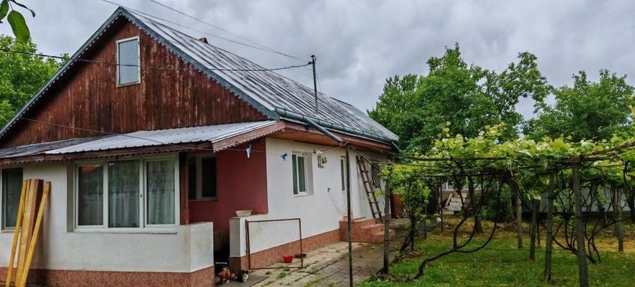 Casă cu 3 camere în Vișan