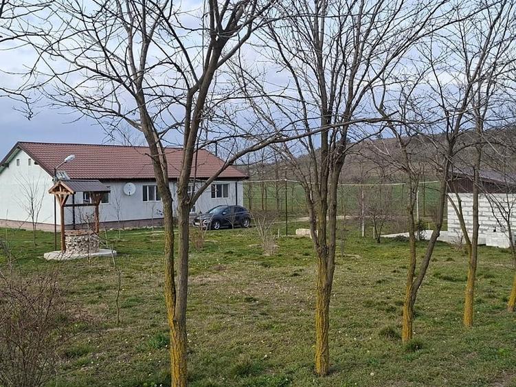 Teren de 90000 mp, în Central