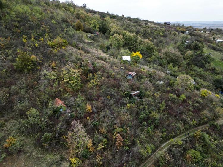 Teren de 18300 mp, în Ghioroc