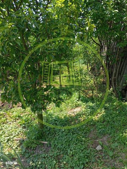 Casa de vanzare in Sacel 2 corpuri locuibile, 3 bai, gradina, ter - 6