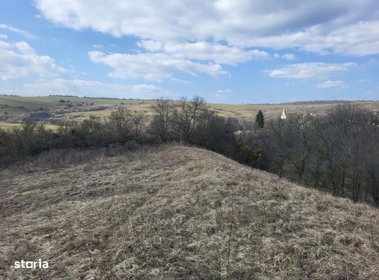 Teren 1 hectar cu casa - 4