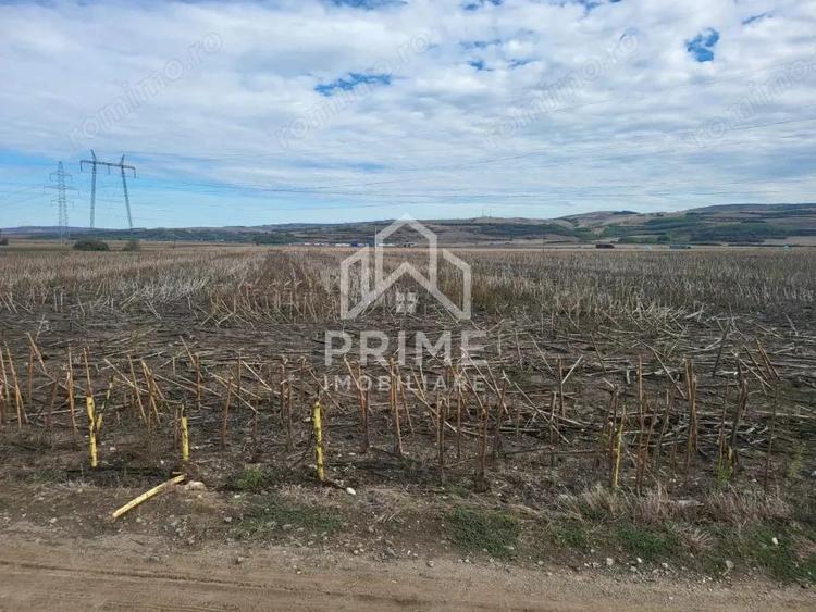 Teren de vanzare in Oarda de Jos , 8300 mp din care 2700 mp intravilan - 4