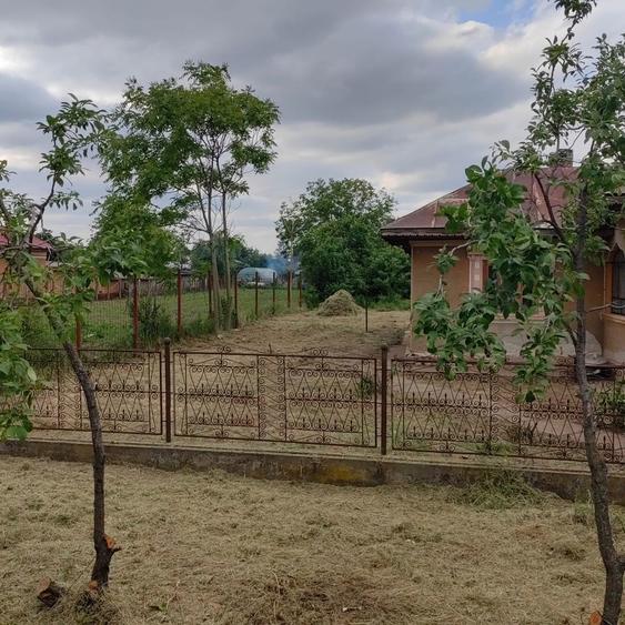 Casa batraneasca Ogrezeni Hobaia la 15-20 min de centura Militari-Buc - 4