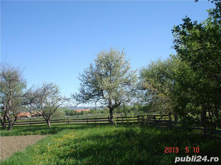 Casa si teren de vanzare - 2