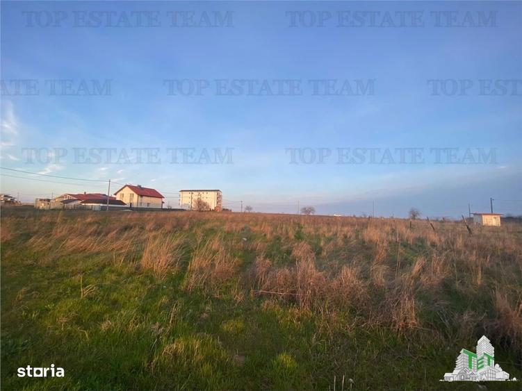 Teren intravilan construibil 18000 mp Costinesti, Constanta - 5