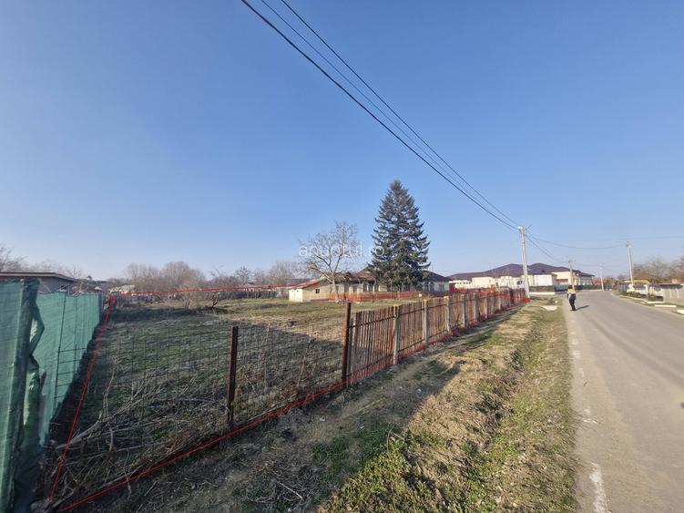 Teren parcelabil, langa Gradinita, Buturugeni, Giurgiu Teren parcelabil, langa Gradinita, Buturugeni, Giurgiu