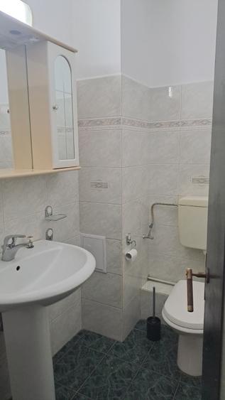Proprietat, Timisoara, 2 camere, 500 Euro  - 6