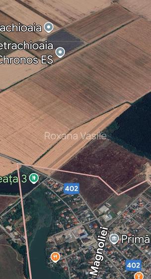 Petrechioaia  Teren Extravilan  suprafata 35 000mp Deschidere la DJ (10eur/mp)