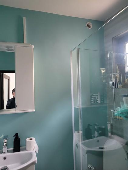 Vand apartament ultracentral, hol, 3 camere, 2 bai, garaj , anexe - 4