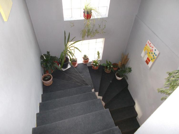 Casa Sacalaz, individuala, P+M, 5 camere, teren 400mp - 7