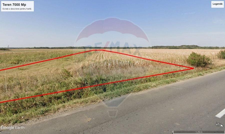 Teren intravilan constructii Stoenesti (Floresti-Stoenesti) / None - 7