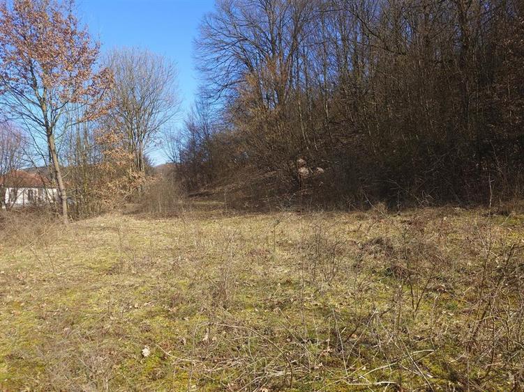 Teren intravilan la liziera padurii - 9